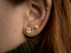 Amber Stud Earrings · 8mm - Sterling Silver